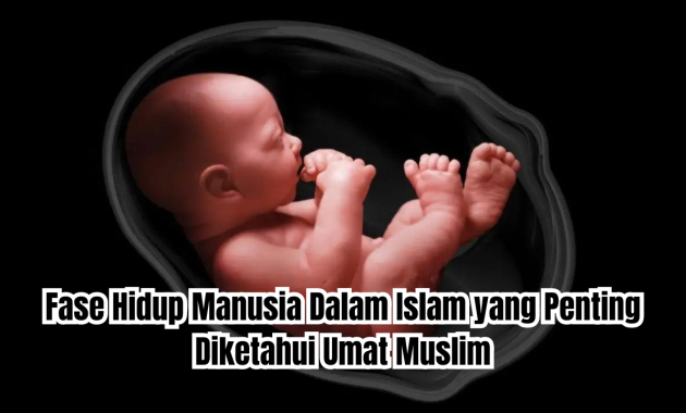 Fase hidup manusia dalam Islam