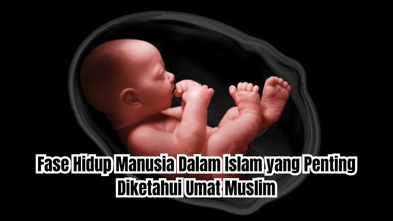 5 Fase Hidup Manusia Dalam Islam yang Penting Diketahui Umat Muslim